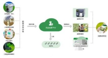 农产品全产业链溯源系统软件开发解决方案 技术服务驱动品质信任